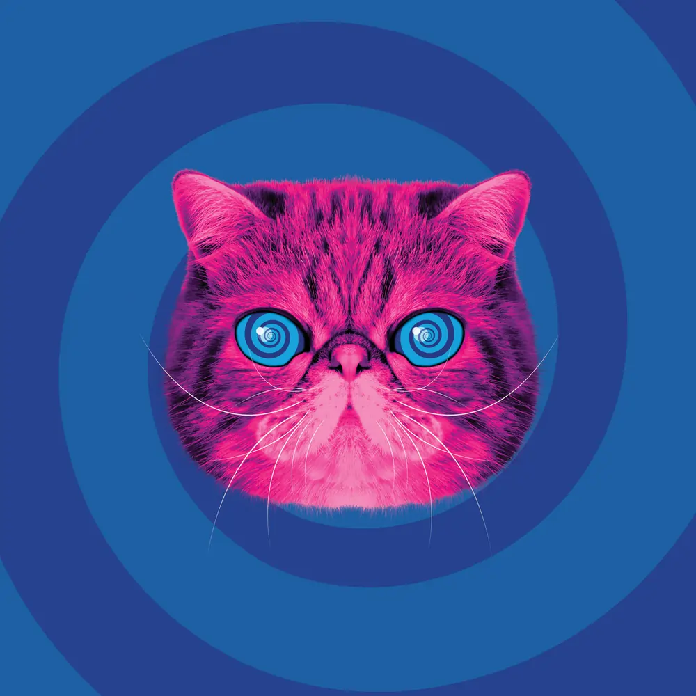 Hypno cat Campaign page 2024 Header 1000px HypnoCat the pink fluffy persian reycling cat on a swirling blue background